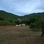 Bella's House *